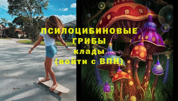 СК Володарск
